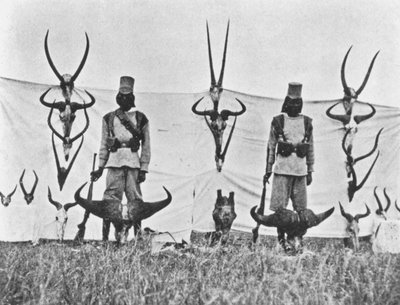 Trois semaines de chasse sur le Guaso Nyiro, de 